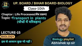 Transport In Plant | Internal Structure Of Root | Life Processes | class-10 | @Abhishekspsir