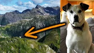 Goose Dog Climbs Middle Sister in Sitka, Alaska