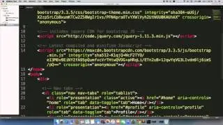 The Proper Place to Include Script Tags