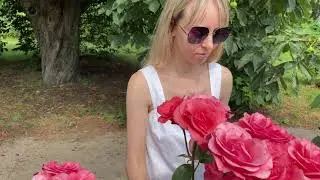 Сезон роз в ботаническом саду им.Гришка