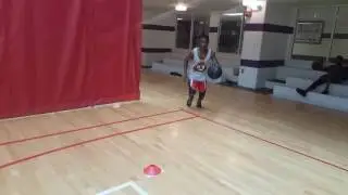 Combo's that cant be stopped. Mosquito style training! Cant trap this mosquito! Get better!