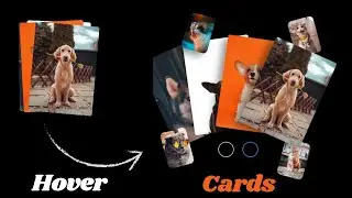 Hover Cards effect by css html | javascript