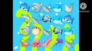 Elmo World Water 🌊 Quiz