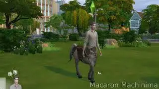 [Sims 4 Series] "The Last Faie" Centaur Rig (Test)