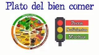 🍳Plato del bien comer🍎 [Fácil y Rápido] | BIOLOGÍA |