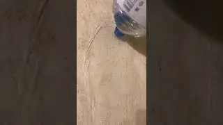 Сквизер потёк😂👍