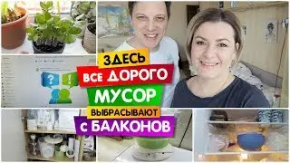 VLOG: We live in the North, everything is EXPENSIVE here / They throw garbage from balconies / Wh...