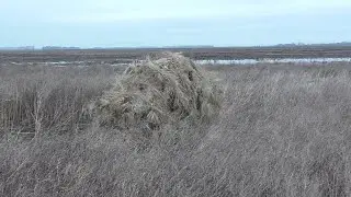 The best homemade hide for geese and ducks.