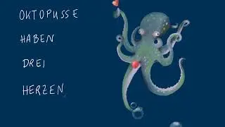 Wirklich wahr... Teil 2: Der Oktopus