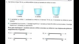 Fenomen LGS Süreç Değerlendirme 5 Matematik Çözümleri