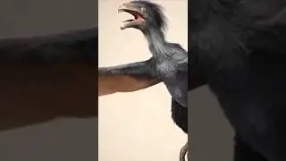 Los DINOSAURIOS más parecidos a DRAGONES que han existido: los Escansoriopterígidos