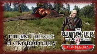 Ищем гнездо Грифона и сковордку - Ведьмак 3. Next Gen Update #4