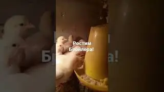 28 января 2022 г.