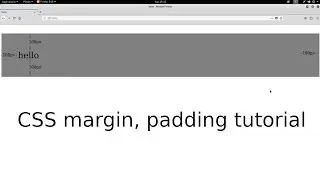 CSS margin, padding tutorial