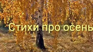 Стихи про осень детям. Стихи об осени 
