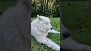 Maya cheeky side eye 