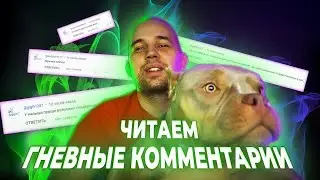 НЕ ВЫГУЛИВАЮ СОБАКУ, ХОЗЯИН Д*БИЛ, ШУГАНАЯ СОБАКА, ЧЕРНЫЙ ЮМОР. Малыш в шоке
