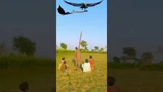 Vfx magic eagle attack 😱 #vfx #magic #funny #comedy #shortvideo