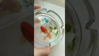 3d рыбка Эпоксидная смола