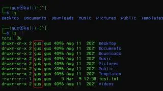 Beginners Guide to Kali Linux Part 6 -  List and Explore Files in Terminal