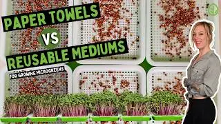 Radish Microgreens: Paper Towels vs. Reusable Mediums Experiment
