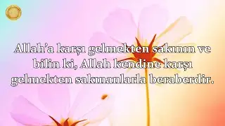Bakara Suresi - islam Subhi