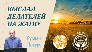 Выслал делателей на жатву. Руслан Покуро.