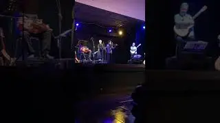 «Чарівна скрипка. Сіла птаха» у виконанні  Коваленко Данііла. Італия. 10.04.2022