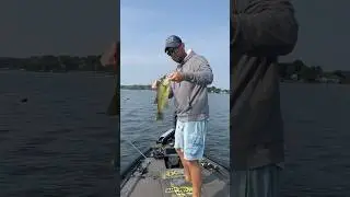 Boat Flipping Bass TGIF!! Weekend Fishing Vibes!!