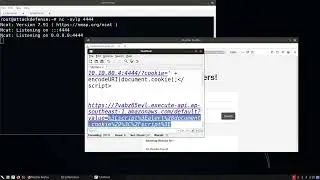 WAPT4      7  Cookie Stealing Via Reflected XSS