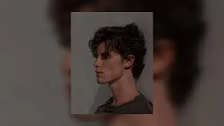 shawn mendes - when you're Gone (Spedup)