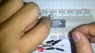 C & 8051 - Hướng dẫn cắm TestBoard bài chớp tắt LED