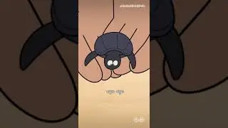 KETIKA MELEPAS PENYU KE LAUTAN