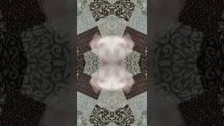 20 ноября 2023 г.