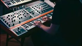 David West - Pulsewaves Arp 1:2 (Arp Chronicles)