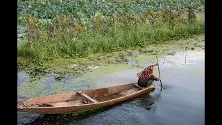 Kashmiri Dreams