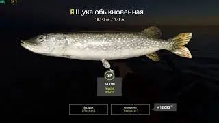 Троф щука Архип, 18 кг
