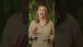 Remarkable reptile residence 🦎🐸🐍