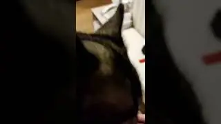 Пять минут, пять минут это много или мало?