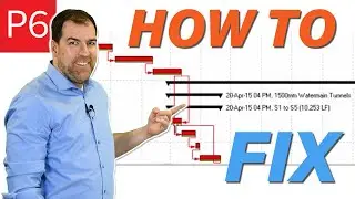 The Problem with Longest Path in Primavera P6 and how you can fix it
