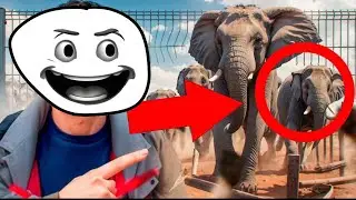 What Happened to Youtube's FIRST Video??