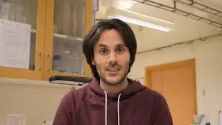 Testing effects of pesticide exposure to bees and bee larvae [PoshBee training]