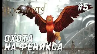 Hogwarts Legacy #5 - В погоне за фениксом