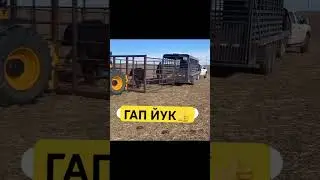 #xursandbek