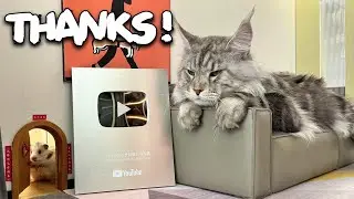 Thank You for the Silver Play Button Award!