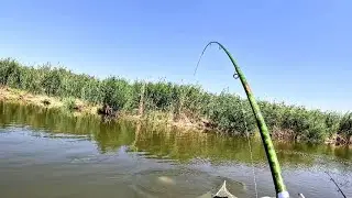 рыбалка #сазанлар макони