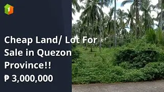 Cheap Land/ Lot For Sale in Quezon Province!!