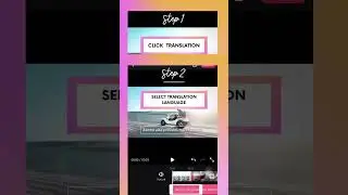 Expand Your Video's Global Reach: 3 Steps to Translate Your Videos for a Wider Audience
