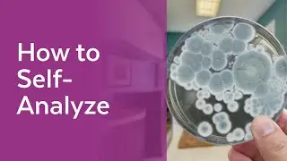 Self Analysis (Mold Check Up)