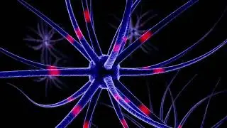 ¿Existe realmente el tiempo?